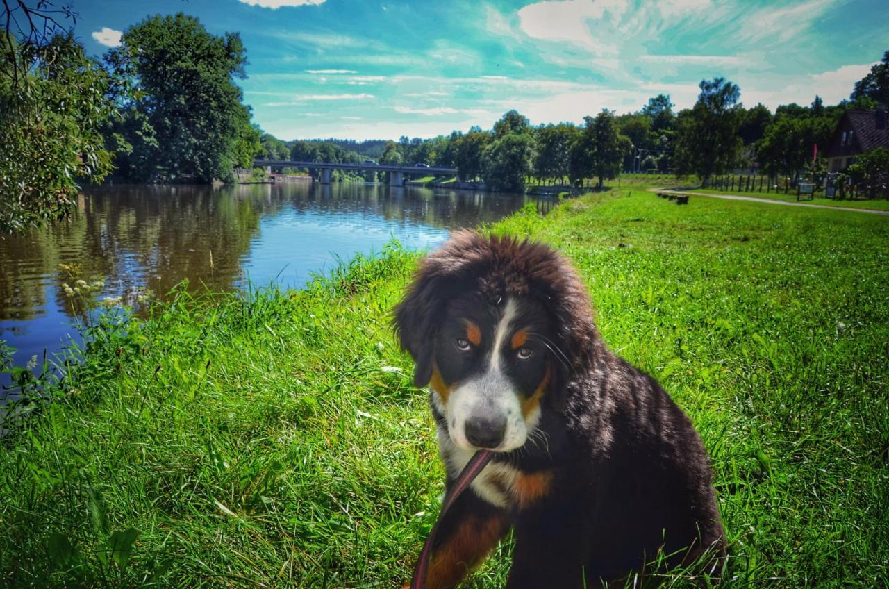 ホテル Camping Prima Týn nad Vltavou エクステリア 写真